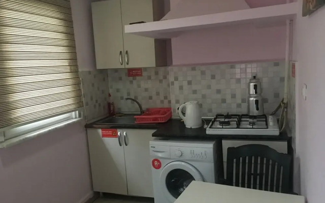Zeytin Apart