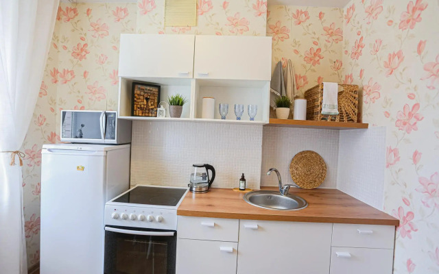 Apartments at Petrovna's on Moskovskoe highway