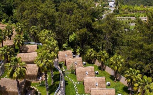 The Hill Glamping