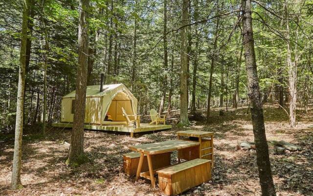 Tentrr - Little Bear