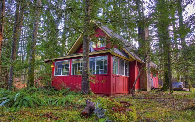 Red Hawk Hideaway - Two Bedroom Cabin with Hot Tub