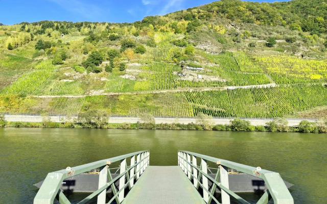 Altes Winzerhaus am Moselufer - Sonnenlay