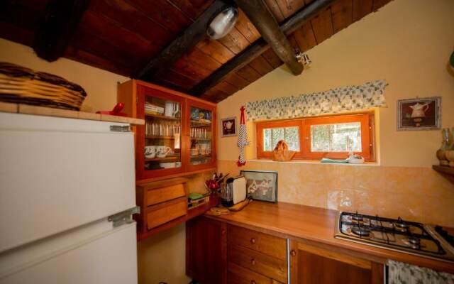 Big Family Villa in Rome Countryside