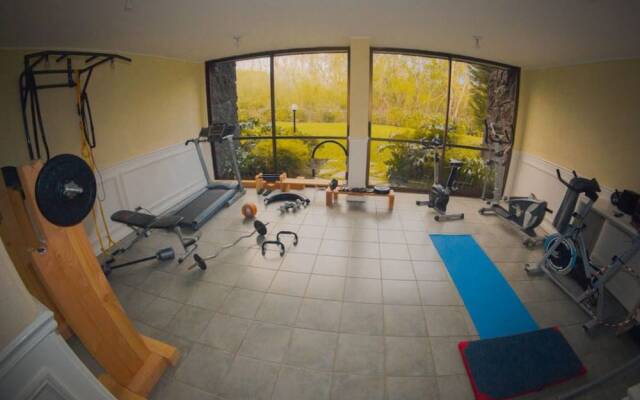 Departamento Cerro Pucon