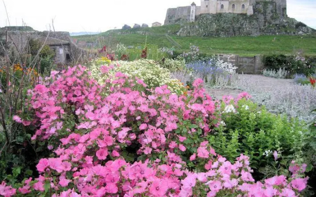 Northumbrian House