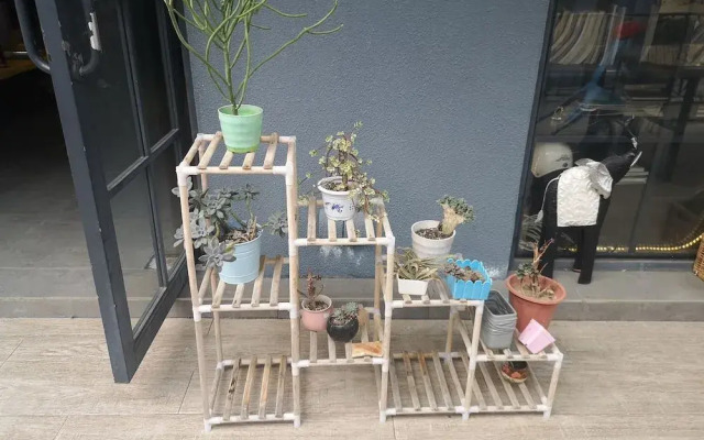 Nag home stay facility