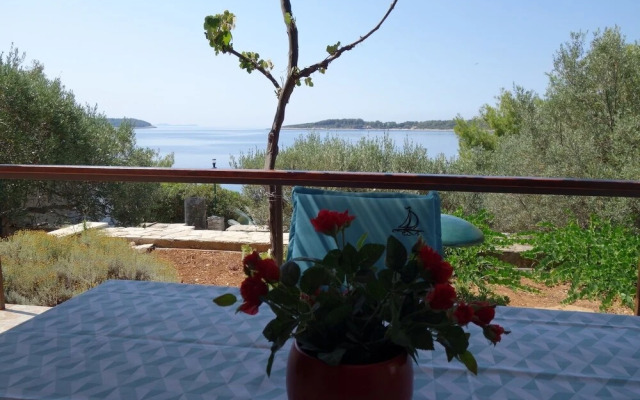 Nev - 20m From the sea - A1 Veliki