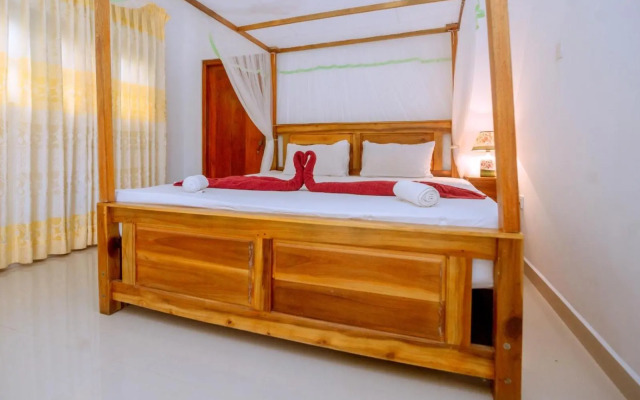 Rainforest River Edge