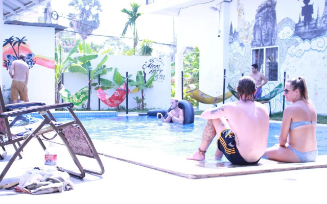 Pool Party Hostel