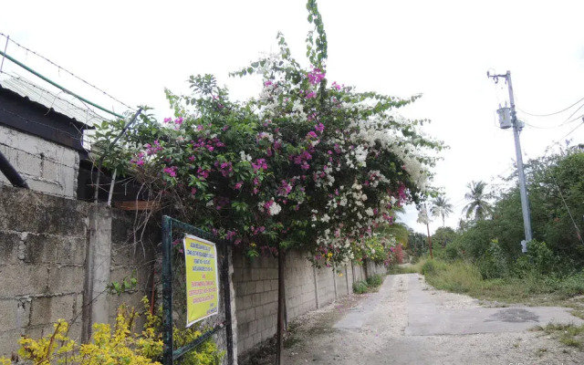 Asian Belgian Resort