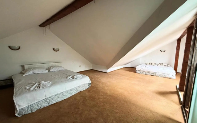 TreeZ Hostel