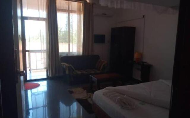 Mwanza Green Palm Hotel