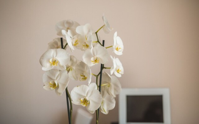 Villa Diosa de la Aurora