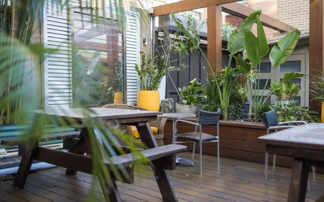 London Plane Backpackers - Hostel