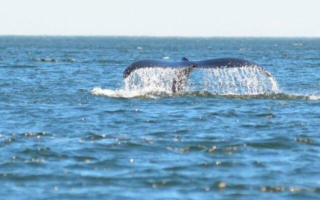 B&B Baie du Soleil Couchant