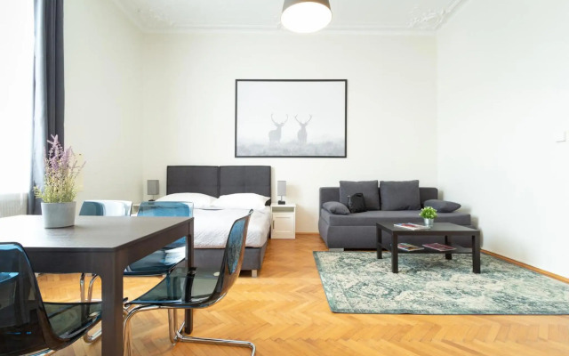 Apartment Mariahilfer Strasse