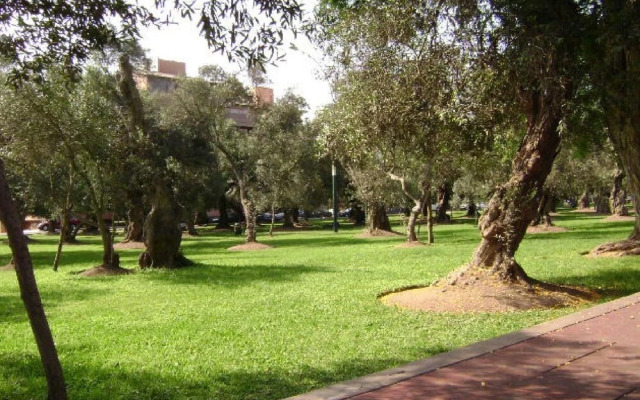 B&B El Olivar