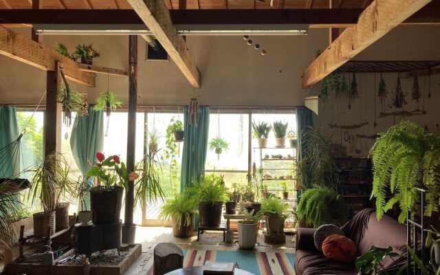 Galaxy Guest House