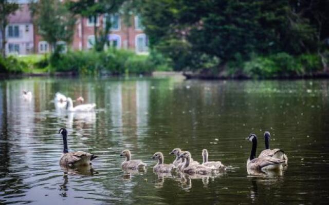 Lakeview Holiday Cottages