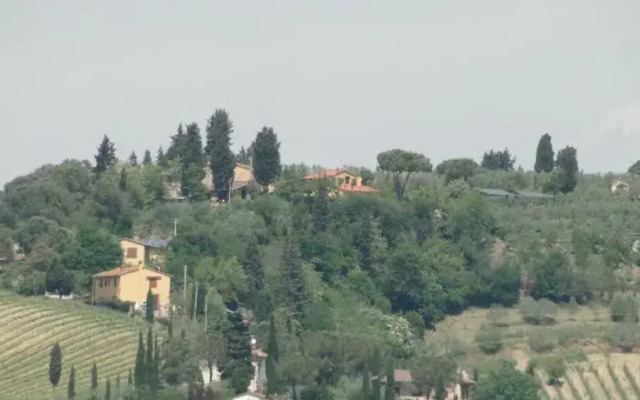 Il pollice verde