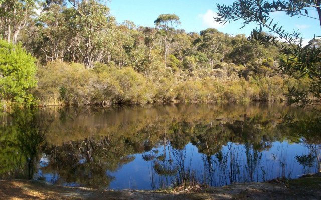 Denmark Forest Retreat