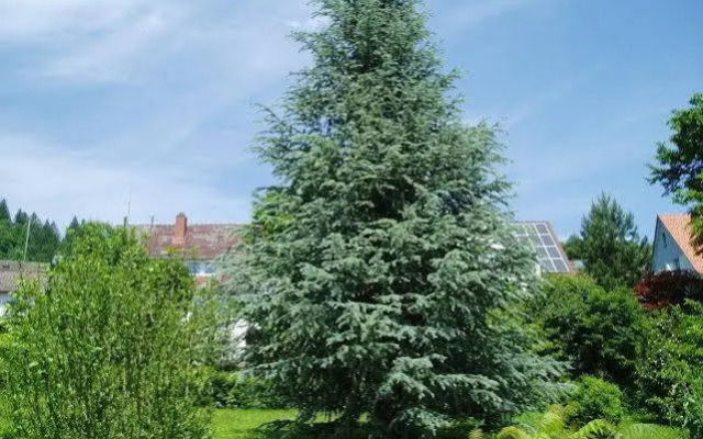 Schwarzwaldhotel Garni Wolfach