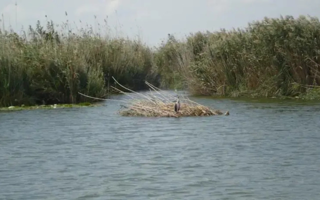 Casa de Vacanta Dunavatul de Jos