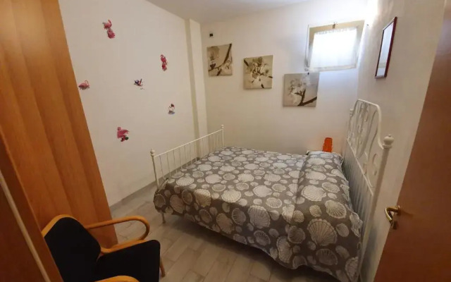 King Apartment