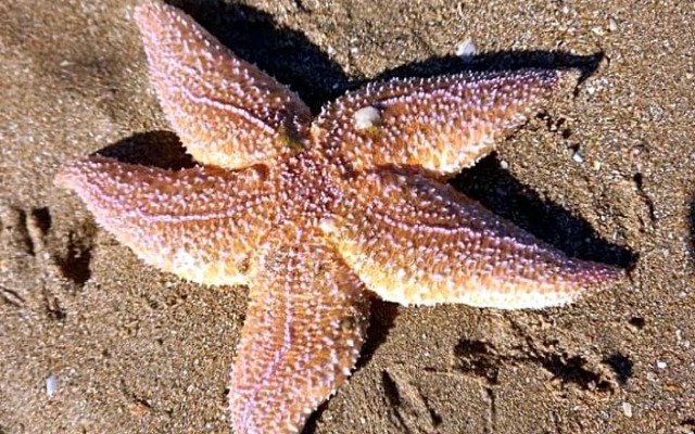 VILLA CATHY Chambres d hôtes