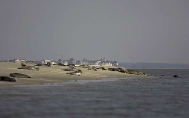 Auberge de la Dune