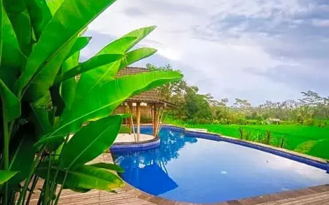 Thantha Serenity Resort