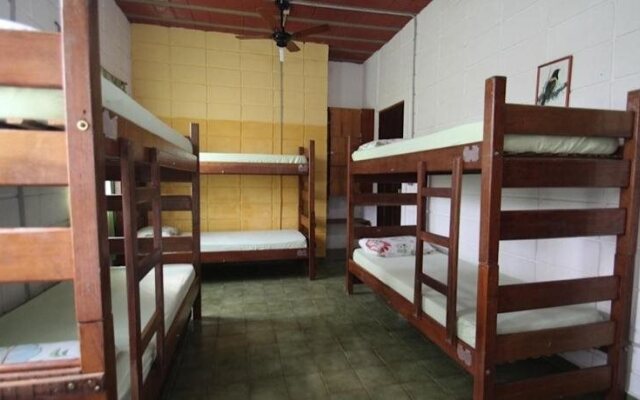 Pousada Tribo Hostel