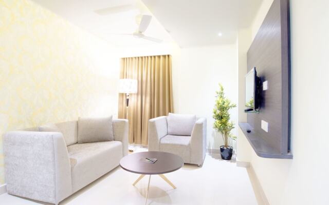 Treebo Trend Olive Tree