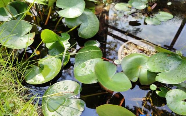 Anjing Qilu Manor in Emei Mountain Scenic Area