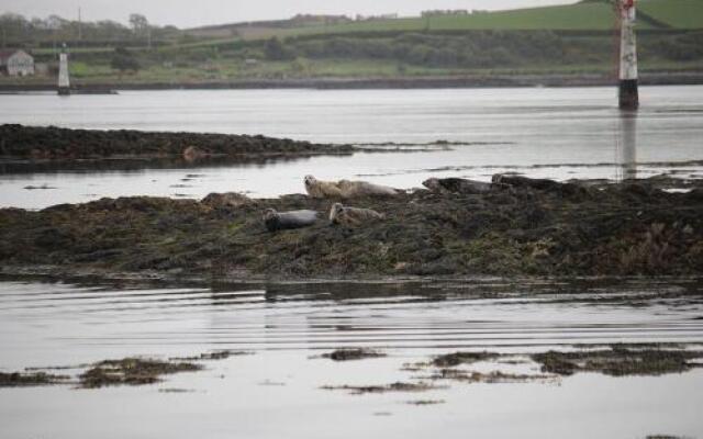 Seal Cabin