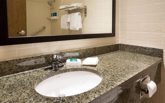 Holiday Inn McAllen  Medical Center Area