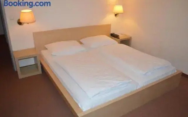 Hotel Pension Walzerstadt