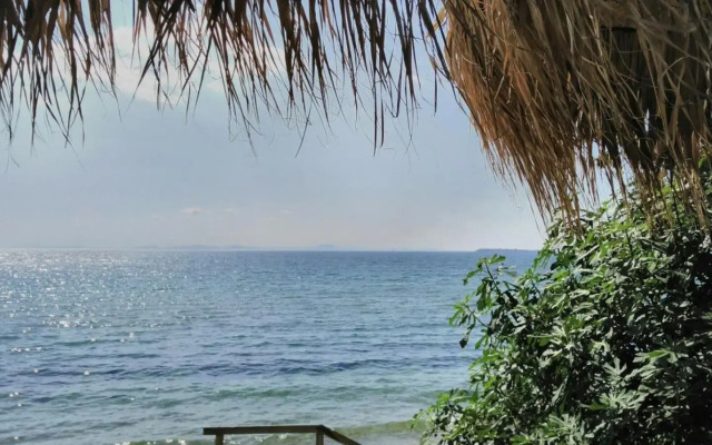 Alex Beach