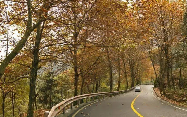Mount Emei Qilingping Hot Spring Hotel