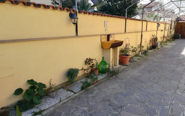 The Yellow House