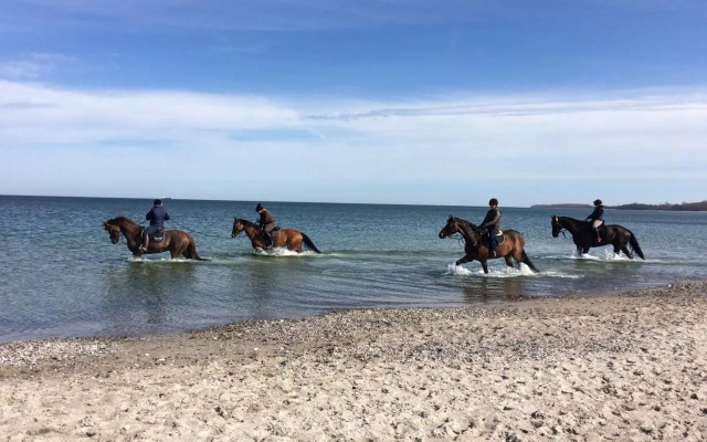 Ostseeferienwohnung Storchennest