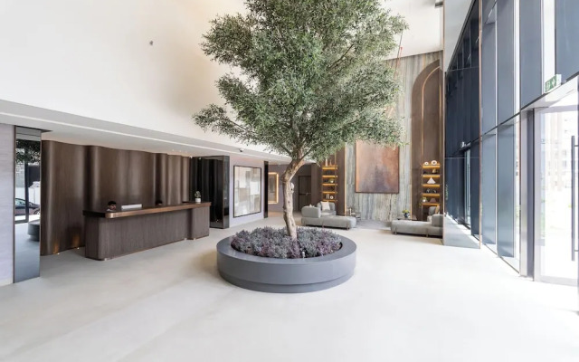 Czechin - Oxford 212