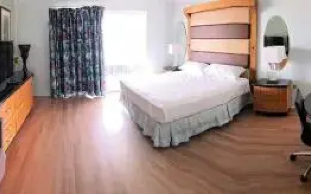 The Colony Apartments