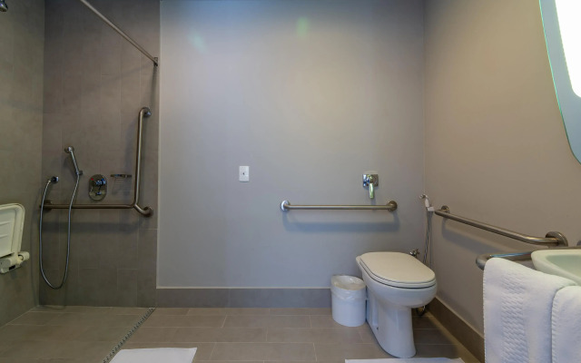 ibis Campo Grande