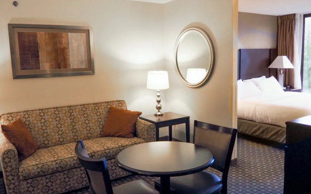 Comfort Suites University