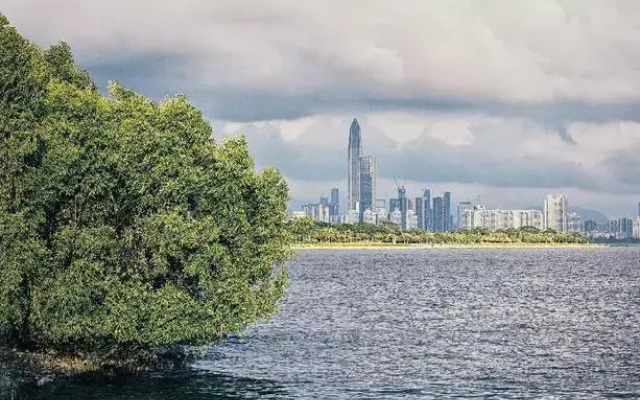 ZMAX Hotels Shenzhen Lianhuacun Metro Station