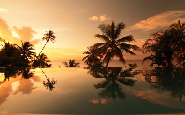 Taveuni Palms