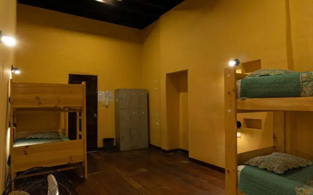 Wild Olive Guest House