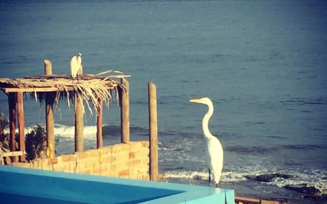 La Playa