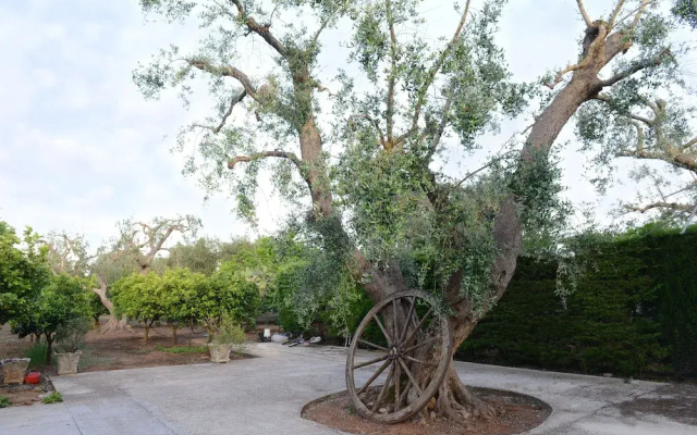 B&B Villa Lucia